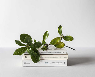 product_02